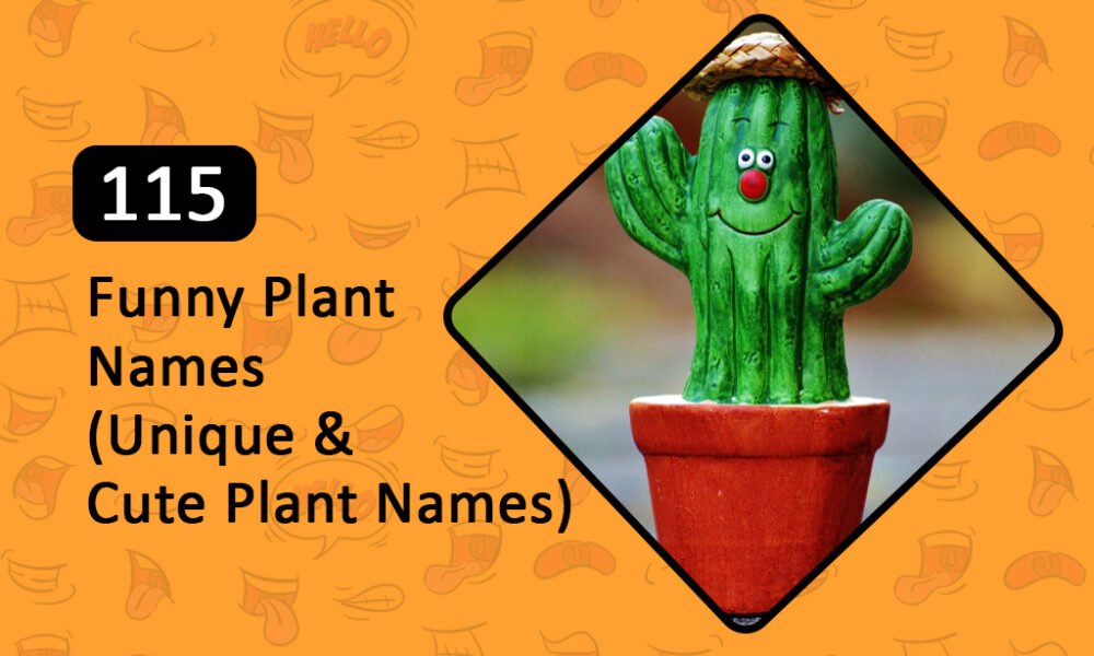 115 Funny plant names