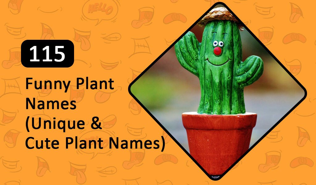 115 Funny plant names