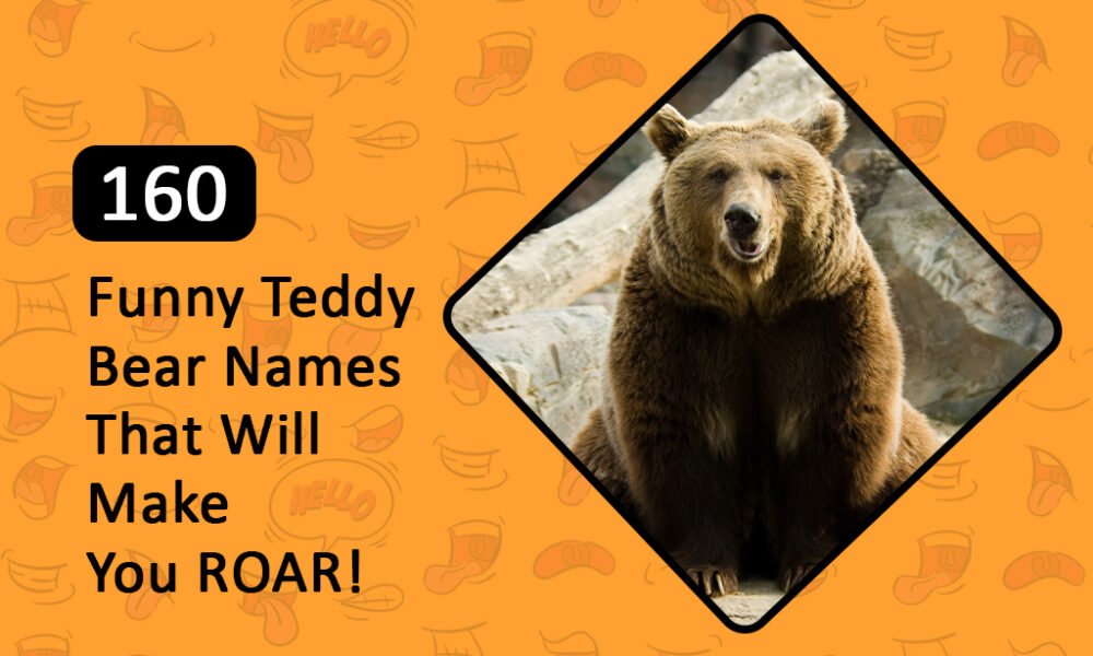 funny teddy bear names