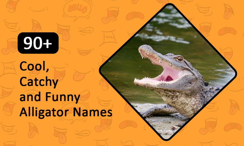 Cool, Catchy and Funny Alligator Names