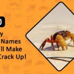 Funny Crab Names That’ll Make You Crack Up!