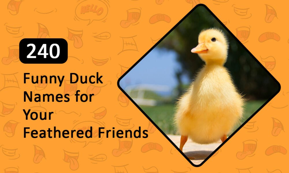 Funny Duck Names for Your Feathered Friends