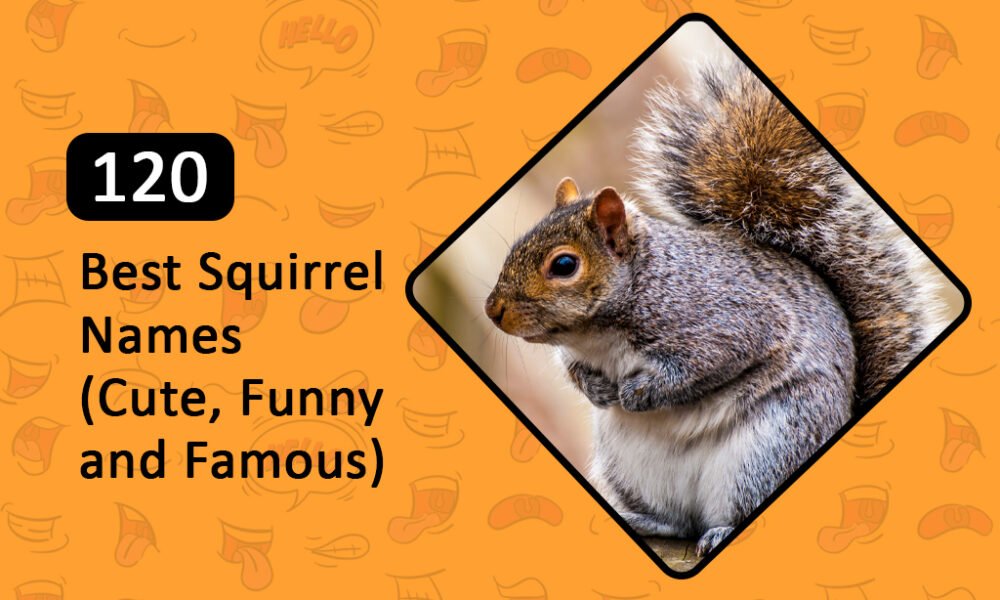 funny Squirrel Names