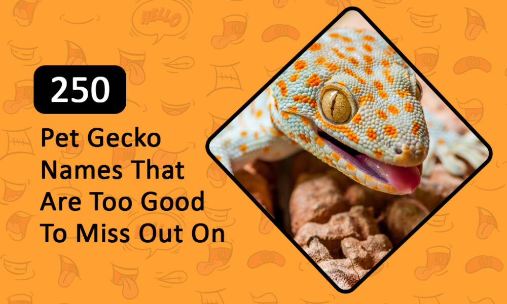 funny gecko names