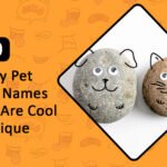 funny pet rock names
