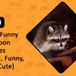 funny racoon names