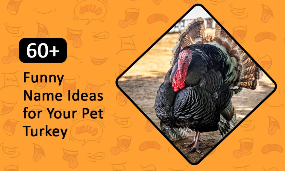 Funny Name Ideas for Your Pet Turkey