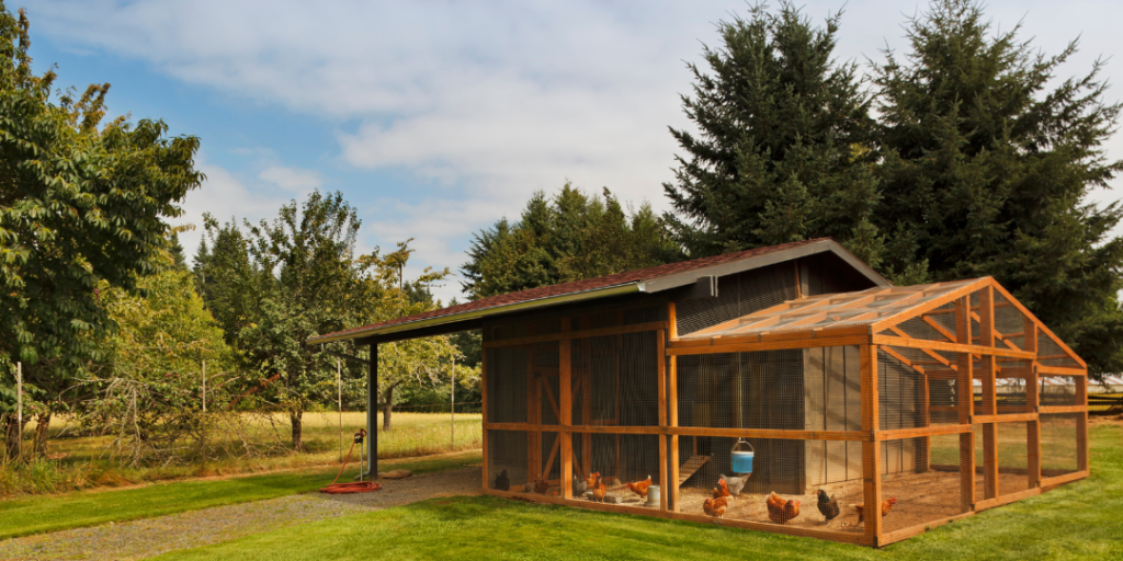 Funny Chicken Coop Names